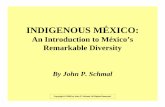 INDIGENOUS MÉXICO - Somos Primos · INDIGENOUS MÉXICO: An Introduction to México’s Remarkable Diversity ... U.S.-based (Hopi, Comanche, Paiute) Southern Uto-Aztecan (49 Languages)