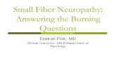 Small Fiber Neuropathy: Answering the Burning … Peripheral neuropathy is among the most common disorders evaluated by neurologists. Most peripheral neuropathies affect all …Published