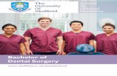 Bachelor of Dental Surgery - The University of Sheffield/file/BDS... · Practical dissection sessions ... procedures of exodontia and minor oral surgery and the use of drugs in their