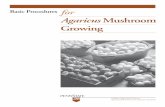 Basic Procedures for Agaricus Mushroom Growing  Agaricus Mushroom Growing Basic Procedures College of Agricultural Sciences Agricultural Research and Cooperative Extension