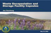 Waste Encapsulation and Storage Facility Capsules 5... · 3 Capsule History • In the 1970’s radioactive cesium and strontium were removed from underground waste tanks –Reduced