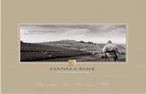 CATALOGO CADIS 2016 copia - Cantina di Soave to production, ageing, and packaging. Certiﬁcazione UNI EN ISO 9001:2008 Tracciabilità ﬁliera UNI 2200S:2008 Certiﬁcazione BRC Certiﬁcazione