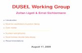 DUSEL Working Group - LBNL Theoryligeti/dusel/slides.pdfDUSEL Working Group Zoltan Ligeti & Ernst Sichtermann • Introduction • Neutrino oscillations & proton decay • Dark matter