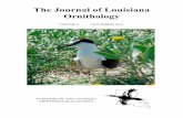 The Journal of Louisiana Ornithologylosbird.org/jlo/jlo_v9.pdfThe Journal of Louisiana Ornithology is published on-line annually by the Louisiana Ornithological Society. Address business