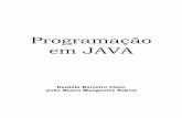 Programação em JAVA - homes.dcc.ufba.brdclaro/download/Programando em Java.pdf · Pag.: 2 Prefácio Este livro foi originado a partir de nossas experiências com o ensino da linguagem