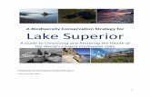A Biodiversity Conservation Strategy for Lake Superior · 1 A Biodiversity Conservation Strategy for Lake Superior A Guide to Conserving and Restoring the Health of the World’s