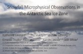 Snowfall Microphysical Observations in the Antarctic … · Snowfall Microphysical Observations in the Antarctic Sea Ice Zone ... Ernesto Trujillo. 1. ... PowerPoint Presentation