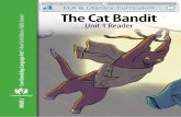 Skills Strand The Cat Bandit Unit 1 Reader - EngageNY · Skills Strand The Cat Bandit Unit 1 Reader. THIS BOOK IS THE PROPERTY OF: STATE PROVINCE COUNTY PARISH ... The Catfish Dad