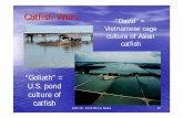 Catfish Wars - University of California, Davisanimalscience2.ucdavis.edu/ans18/PDF_files/Lectures/ANS18-10-L26... · catfish “Goliath” = U.S. pond culture of catfish Catfish Wars.