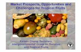 Market Prospects, Opportunities and Challenges for ... · PDF fileMarket Prospects, Opportunities and Challenges for Tropical Fruits ... Market Prospects, Opportunities and Challenges