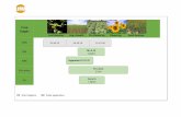 Sunflower fertilizer program - Lima Europe Word - Sunflower fertilizer program.docx Created Date 6/19/2017 12:50:08 PM ...