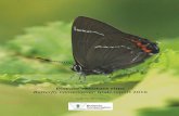 Disease-resistant elms Butterfly Conservation trials ... resistant elm... · Disease-resistant elms Butterfly Conservation trials report, 2016 Contents: 1. Abstract 2. Introduction