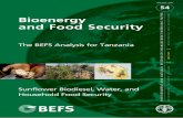 Bioenergy and Food Security - The BEFS Analysis for … · regarding the potential of bioenergy as an alternative to fossil fuels, ... Bioenergy, food security, smallholders, water