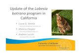 Update of the Lobesia botrana program in California · Update of the Lobesia ... • 6 in the 2 nd flight All other counties continue to be ... need ~1 trap/1 ha – Or continue trapping
