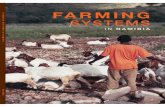 SYSTEMS - the EIS systems in Namibia Part 1.pdf · SMALL-SCALE CEREALS AND LIVESTOCK CATTLE RANCHING SMALL STOCK FARMING INTENSIVE AGRICULTURE ... farming systems …