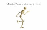 Chapter 7 and 8-Skeletal System - Mrs. Rakers' Science Lab - …rakersscw.weebly.com/uploads/8/5/5/5/8555332/ch05... ·  · 2016-11-10protection of internal organs •The skeleton
