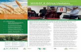 WHEAT 4 Africa Updates - SARD-SCsard-sc-wheat. · PDF fileWHEAT 4 Africa Updates is a Newsletter of ... RWANDA: AfDB President and ... Two wheat scientists graduate through full scholarship