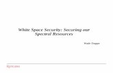 White Space Security: Securing our Spectral Resourcestrappe/ProtectingWhiteSpace.pdf · White Space Security: Securing our ... Challenge Topic: Implementing AUSTIN regulator on the