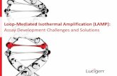 Loop-Mediated Isothermal Amplification (LAMP) - Lucigen€¦ · Loop-Mediated Isothermal Amplification (LAMP): Assay Development Challenges and Solutions