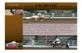 Volume IV Issue XI November 2017 Iowa HORSE · Volume IV Issue XI November 2017 ... At The Iowa Equestrian Center, Kirkwood Community College ... “The AQHA Incentive Fund was a