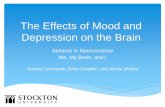 The Effects of Mood and Depression on the Brain - Home | …intraweb.stockton.edu/eyos/sobl/content/docs/brainhealt… ·  · 2015-04-14The Effects of Mood and Depression on the