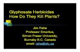 Glyphosate Herbicides How Do They Kill Plants?brasil.ipni.net/ipniweb/region/brasil.nsf... · Glyphosate Herbicides How Do They Kill Plants? Jim Rahe Professor Emeritus, Simon Fraser