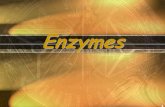 Enzymes - Biologyrasmussenbiology.weebly.com/uploads/8/3/7/7/... · 4 How do enzymes Work? Enzymes work by weakening bonds which lowers activation energy