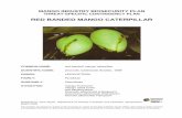 RED BANDED MANGO CATERPILLAR - Plant Health … · red banded mango caterpillar contingency plan 2 table of contents acronyms ...