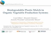 Biodegradable Plastic Mulch in Organic Vegetable ... Plastic Mulch in Organic Vegetable Production Systems Carol Miles 1, Shuresh Ghimire , Annette Wszelaki 2 and Jennifer Moore 2