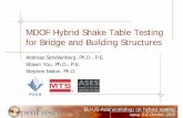 MDOF Hybrid Shake Table Testing for Bridge and … Hybrid Shake Table Testing for Bridge and Building Structures Andreas Schellenberg, Ph.D., P.E. Shawn You, Ph.D., P.E. Stephen Mahin,