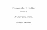 Pinnacle Studio 15 Handbuchcdn.pinnaclesys.com/SupportFiles/Studio_15/manuals/studio_de.pdf · Pinnacle Studio Version 15 Mit Studio, Studio Ultimate und Studio Ultimate Collection
