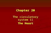 Chapter 19 20 He… · PPT file · Web view · 2009-11-05Chapter 20 The circulatory system II The Heart Coronary veins Coronary stenosis Cardiac conduction system For the heart