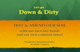 Let’s get Down & Dirty - Hendrikus Organics · Let’s get Down & Dirty ... Horsetail Low lime, sandy, light, acidic soil, ... Wet Ball Test It is not just sandy soils that do not