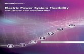 Electric Power System Flexibility - NASEO SYSTEM TRANSFORMATION. Electric Power System Flexibility . CHALLENGES AND OPPORTUNITIES