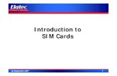 Introduction€to SIM€Cards - cosconor.frcosconor.fr/GSM/Divers/Others/Cours/SIM Cards/Introduction to SIM... · Introduction€to€GSM€11.11 ... BSS:€Base€Station€System