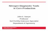 Nitrogen Diagnostic Tools in Corn Production Diagnostic Tools in Corn Production John E. Sawyer Professor Soil Fertility Extension Specialist Department of Agronomy Evaluating Plant-Available