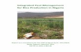 Integrated Pest Management for Rice Production in …cari-project.org/.../CARI-Rice-IPM-Nigeria-Draft-Study.pdfIntegrated Pest Management for Rice Production in Nigeria Report on a