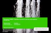 European RMBS: Cashflow dynamics and key assumptions€¦ ·  · 2009-02-12European RMBS: Cashflow dynamics and key assumptions ... we have build an excel-based European RMBS model,