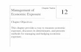 Economic Exposure INTERNATIONAL FINANCIAL MANAGEMENT Chapter Objectives: exposure ... ·  · 2017-10-09Management of Chapter Twelve 12 Economic Exposure ... methods for managing