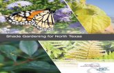 Shade Gardening for North Texas - Water University · Shade Gardening for North Texas The amount and quality of light on your property can change over time, especially in landscapes