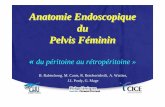 Anatomie Endoscopique du Pelvis Féminin - omarqasmieh de la fosse paravésicale Dte Fosse Paravésicale Droite Paroi Pelvienne Latérale Muscle Obturareur Interne Muscle Ilio-Coccygien