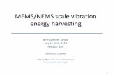 Vibration Energy Harvesting - Noise in Physical System (N ... · MEMS/NEMS scale vibration energy harvesting NiPS Summer School July 14-18th, 2014 Perugia, Italy ... Heart powered