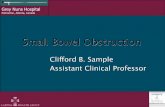 Small Bowel Obstruction - University of Alberta · Small Bowel Obstruction ... Anatomy - Stomach Fundus and body - parietal cells ... Intestinal phase (digestion) - stimulation by