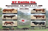 BT Cattle Co - BB Cattle Company Cattle Co Production Sale Saturday, November 18, 2017 Sale Begins @ 11:00 am Mid-Tex Livestock Auction Navasota, Texas Auctioneer: Rick Machado Cell