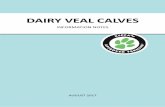 DAIRY VEAL CALVES - RSPCA€¦ ·  · 2017-08-04Dairy veal calves lifecycle ... coccidiostat — an antimicrobial that kills the Eimeria parasite — but prevention is better than
