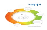 Sappi Group AIR 2016 HI RES · 2016 Annual Integrated Report One Sappi 2016 intentional evolution reduction debt delivering on strategy next phase – growth