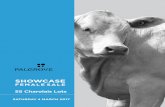 SHOWCASE - Palgrove · It’s been a long time since we invited you to join us for a Palgrove Female Sale. In fact, it’s been five years - so welcome to our PALGROVE SHOWCASE FEMALE