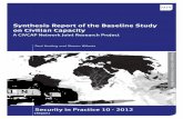Synthesis Report of the Baseline Study on Civilian …v~Synthesis_Report_of...Synthesis Report of the Baseline Study on Civilian Capacity A CIVCAP Network Joint Research Project Paul