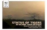 status of tigers - WWF-Indiaawsassets.wwfindia.org/downloads/valmiki_repoprt_web_final_12_mar… · Vi status of tigers in Valmiki tiger reserVe, ... (FD, forest division) and protected