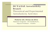 DCTA/IAE Aeroelasticity Branch - Instituto Tecnológico de … ·  · 2010-07-14DCTA/IAE Aeroelasticity Branch ... Structural and Unsteady Aerodynamics Modelling ... (MATLAB + C